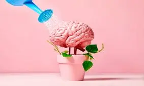 16 استراژی برای باهوش‌تر و عاقل‌تر شدن