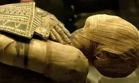 کشف استثنائی در شکم یک مومیایی 