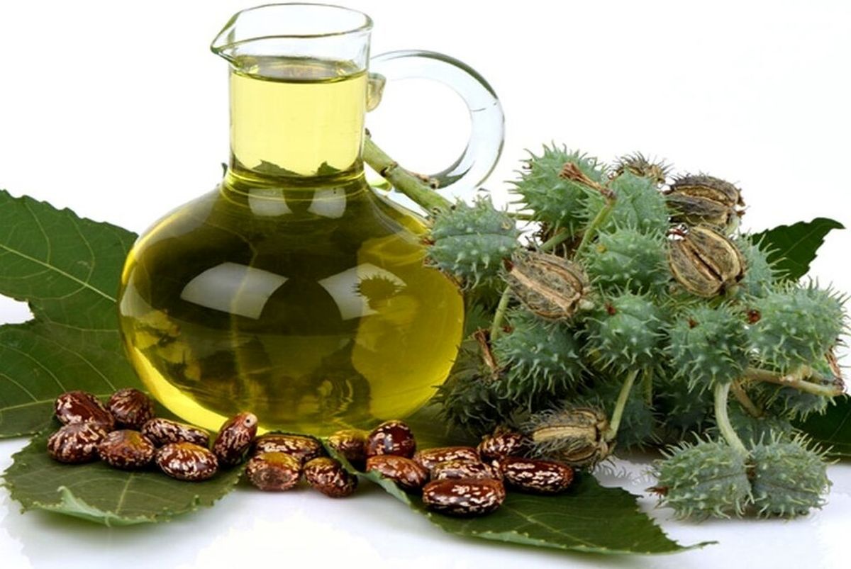 ۹ خاصیت شگفتانگیز روغن کرچک | اگر ورم پا و سلولیت دارید بخوانید
