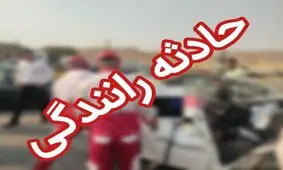 تصادف پژو با اسب در شهر کازرون استان فارس/ ویدئو