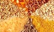 موافقت نمایندگان با تحقیق و تفحص از وزارت کشاورزی