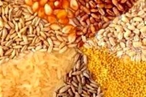 موافقت نمایندگان با تحقیق و تفحص از وزارت کشاورزی