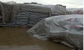 آبگرفتگی محموله های برنج در گمرک