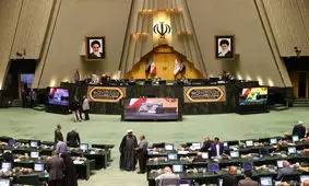 ایرانیانی که به صورت غیرمجاز از کشور خارج شده اند در صورت بازگشت، مشمول مجازات نمی‌شوند