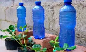 یک ایده برای آبیاری گلدان ها در مسافرت طولانی/ ویدئو