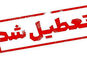 ادارات و بانک‌های رفسنجان به دلیل آلودگی هوا تعطیل شد