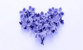 رنگ سال ۲۰۲۲ چیست و دلیل انتخاب آن چه بوده است؟