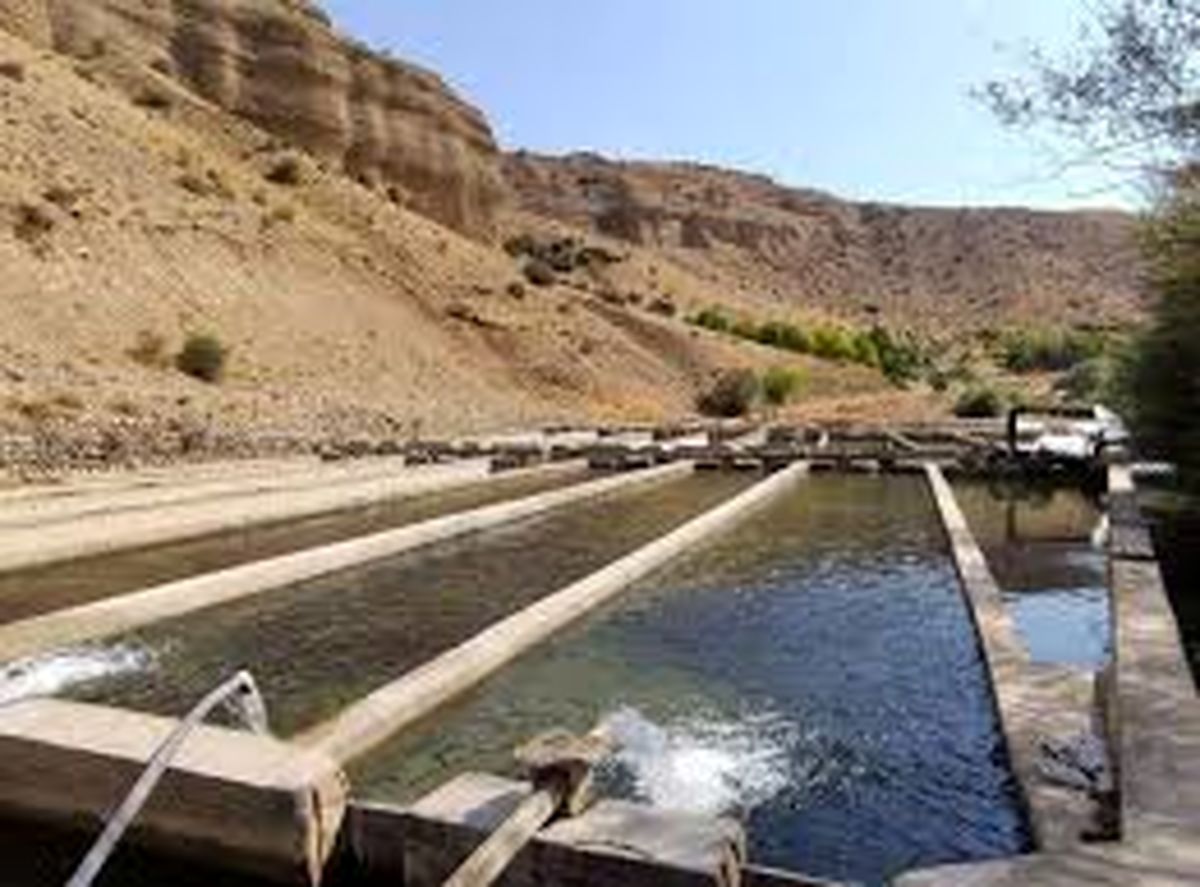 ۹۰۰ تن ماهی از طریق نصب قفس در منابع آبی اصفهان تولید می شود