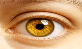 فناوری، امید به بازیابی بینایی از طریق نانوذرات را زنده می‌کند