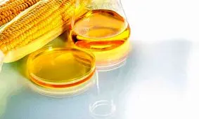 فرکتوز ذرت، یک زهر شیرین