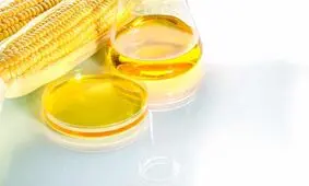 فرکتوز ذرت، یک زهر شیرین