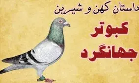 داستان کبوترِ جهانگرد از کلیله و دمنه/ سفری برای فهمیدن اینکه آرامش همان‌جاست که دوست هست