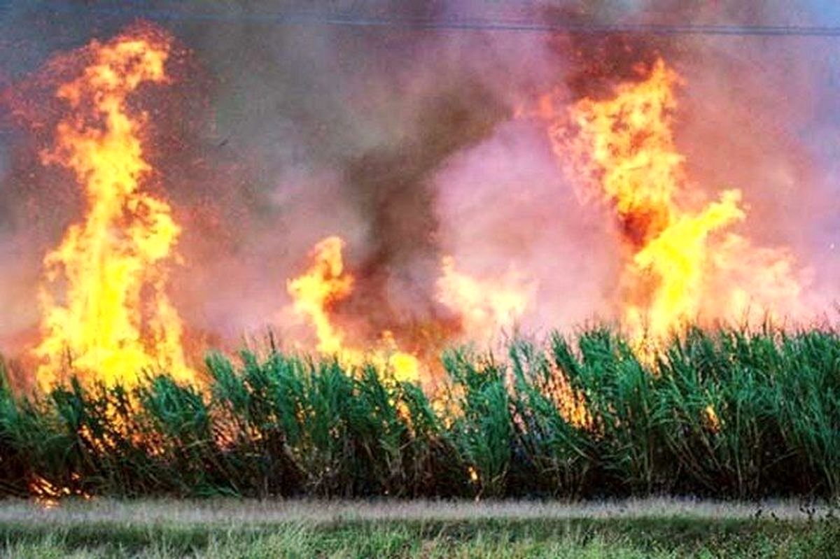 قائمپناه: نمیشود اهواز زیر دود سنگین سوزاندن مزارع باشد