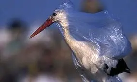 آخرالزمان دریایی با معضلی به نام پلاستیک