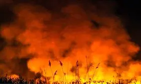 خسارت یک میلیاردی آتش در میقان