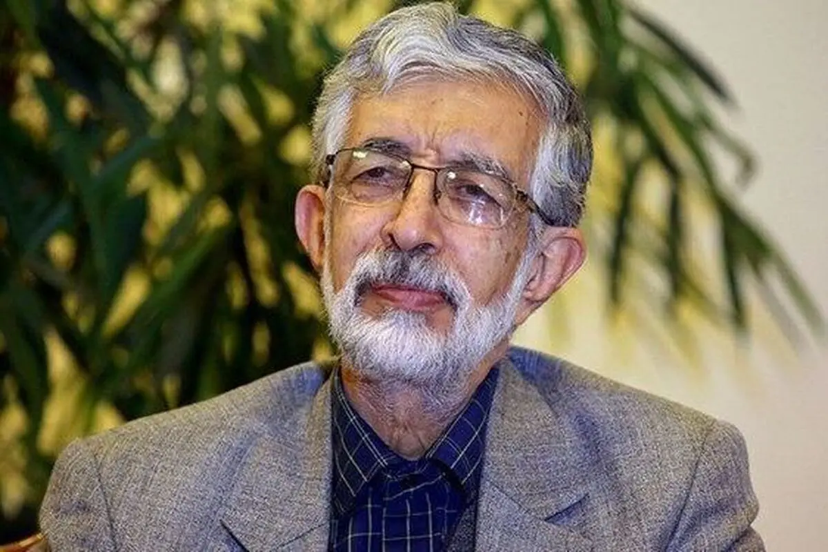 حدادعادل: همیشه در کنار چنار بلند، چند پاجوش زده می‌شود/ ویدئو

