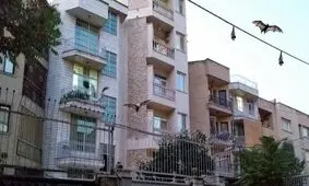 حمله خفاش‌ ها به غرب تهران/ ویدئو