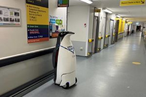 یک پنگوئن رباتیک کارمند بیمارستان می‌شود!

