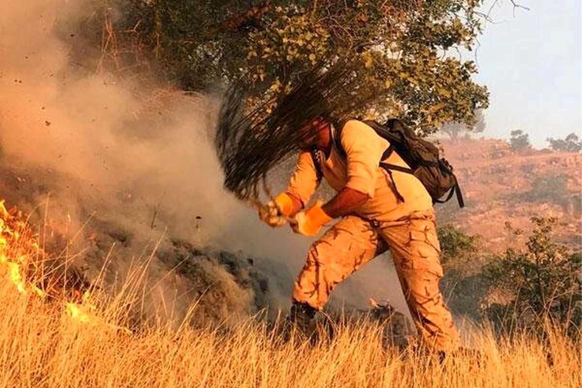  آتش‌سوزی پارک ملی گلستان مهار شد 