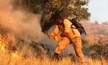 نوبخت: آتش‌سوزی جنگل‌های چهاردانگه و باباکلا پس از ۸ ساعت مهار شد
