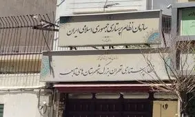 سازمان نظام پرستاری اینترنت پرو را نپذیرفت؛ «امتیاز ویژه نمی‌خواهیم»
