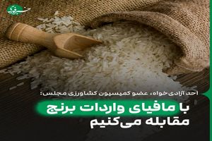 کنترل لابی واردات برنج مثل آب خوردن است