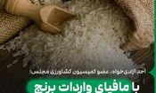 کنترل لابی واردات برنج مثل آب خوردن است