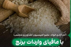 کنترل لابی واردات برنج مثل آب خوردن است