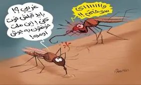 اینم مشکل جدید پشه‌ها برای نیش زدن مردم!