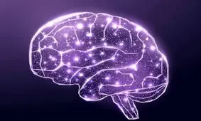 دانشمندان با مدل‌سازی شبکه‌های عصبی کشف کردند مغز چطور آینده را پیش‌بینی می‌کند

