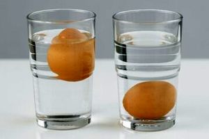 تشخیص تخم مرغ سالم با ۵ روش ساده