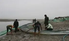 کشف ۶۹ هزار لیتر گازوئیل قاچاق در قشم