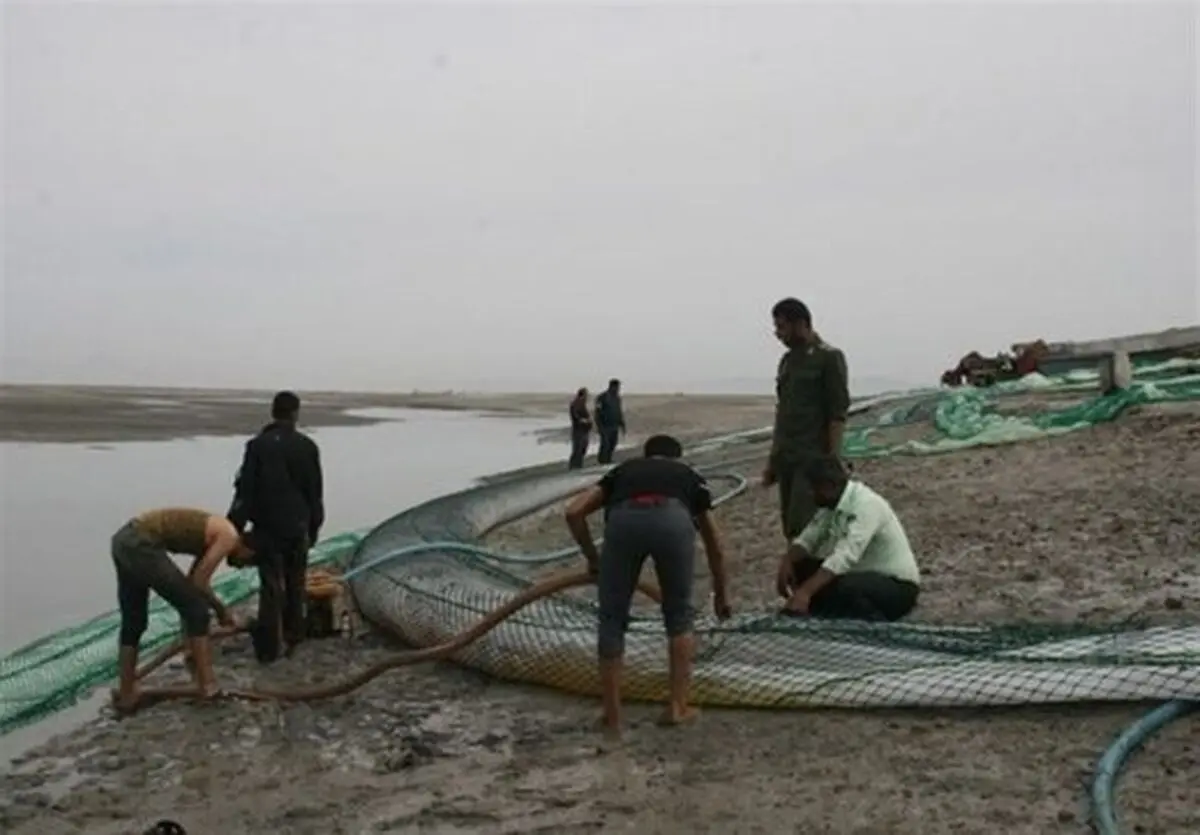 کشف ۶۹ هزار لیتر گازوئیل قاچاق در قشم