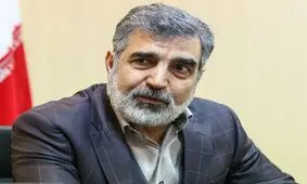 گروسی با امیرعبداللهیان دیدار می‌کند/ انتظار می‌رود موضوعات ایران و آژانس به طور کامل مرور شود


