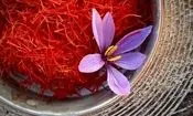 زعفران گران شد
