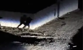 ورود کماندوهای اسرائیلی به فردو بعد از تجاوز آمریکا، بلوف است

