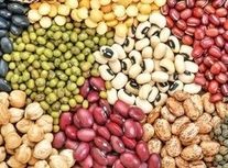 واردکنندگان حبوبات محصولاتشان را عرضه نمی‌کنند و به بازار نمی‌فرستند تا قیمت بالا برود/ عدس، نخود و لپه ۴۰ درصد گران شدند ولی لوبیا چیتی به تنهایی ۳۰۰ درصد افزایش قیمت داشت