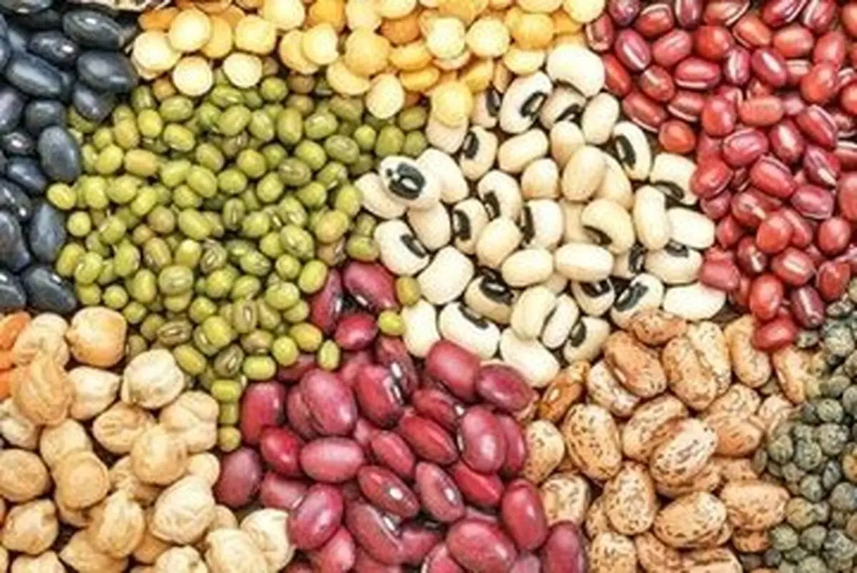 قیمت لوبیا چیتی افت کرد