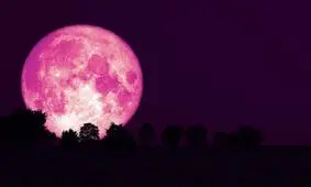 ماه صورتی خرداد ماه را از دست ندهید

