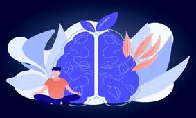 بفرمایید خوراک مغز!