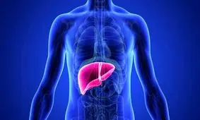 5 عادت روزمره از عوامل اصلی آسیب جدی به کبد