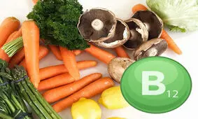 منابع گیاهی ویتامین های B12 برای گیاه خواران
