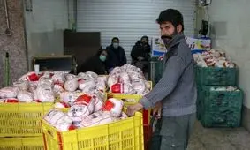 مرغ ارزان مقدمه گرانتر شدن است؟