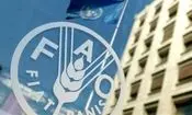  فائو: تنگهٔ هرمز بسته بماند، جهان با یک بحران غذایی مواجه خواهد شد