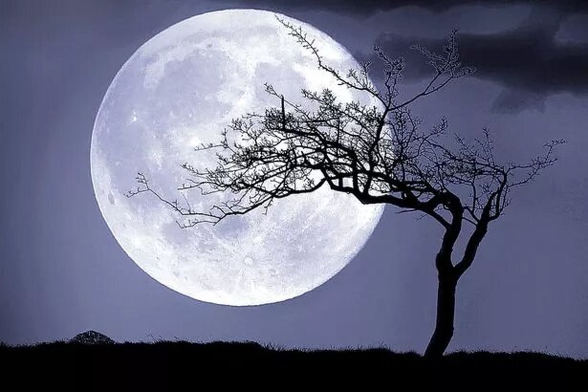 امشب، «ابر ماه ماهی خاویاری» را رویت کنید

