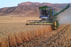 برداشت بیش از ٨٠ درصد محصول گندم شهرستان ایرانشهر