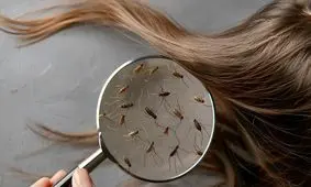 تعطیلی مدارس به دلیل «شپش» صحت ندارد