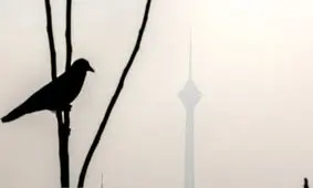 مدارس ابتدایی تهران شنبه غیر حضوری شد؛ زوج و فرد از درب منزل

