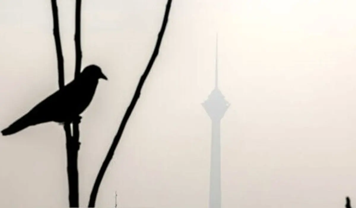 مدارس ابتدایی تهران شنبه غیر حضوری شد؛ زوج و فرد از درب منزل

