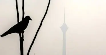 مدارس ابتدایی تهران شنبه غیر حضوری شد؛ زوج و فرد از درب منزل

